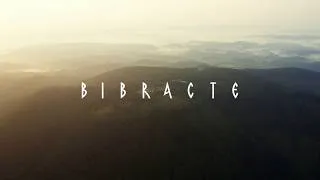 Miniature : Vivez l'archéologie grandeur nature à Bibracte !
