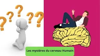 Miniature : Le cerveau Humain - Les mystères - "Documentaire français Les mystères"