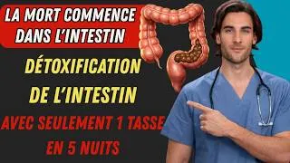 Miniature : Des scientifiques découvrent : l’intestin est notre deuxième cerveau (boisson santé)