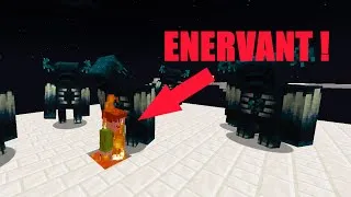 Miniature : J'ai build la map la PLUS ENERVANTE de MINECRAFT !!