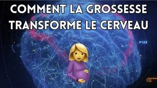 Miniature : Comment la grossesse transforme votre cerveau🤰🧠