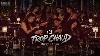Miniature : Trop chaud x (Zpkn) 