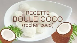 Miniature : RECETTE BOULE COCO EXTRA (facile et rapide)