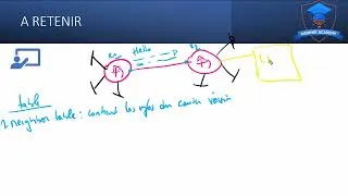Miniature : OSPF Tables