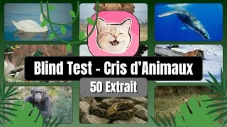 Miniature : Blind Test - Cris d'Animaux - 50 Extraits