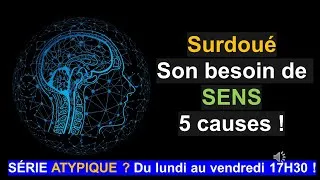 Miniature : Pourquoi les surdoués ont-ils tellement besoin de sens ?