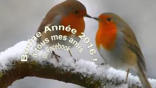 Miniature : BONNE ANNEE 2016 ! A TOUS MES AMIS DE FACEBOOK ! BONHEUR, SANTE, PAIX, SERENITE pour 2016 !