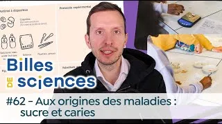 Miniature : Billes de sciences #62 : Nathan Uyttendaele - Aux origines des maladies : sucre et caries