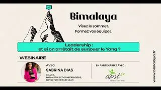 Miniature : Leadership : et si on arrêtait de surjouer le Yang ?