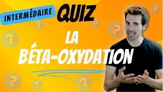 Miniature : QUIZ -Béta oxydation- Intermédiaire