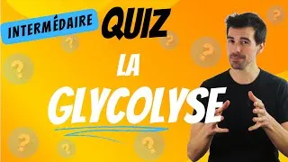 Miniature : QUIZ -Glycolyse- Intermédiaire