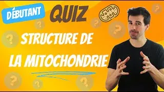 Miniature : QUIZ -mitochondrie- Débutant
