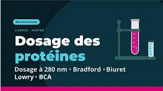 Miniature : Dosage des protéines : Bradford, BCA, Biuret, Folin-Lowry | Cours Biochimie Licence - Master