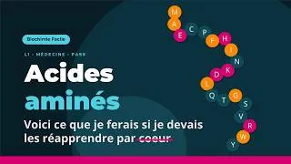 Miniature : Les 20 acides aminés - méthode complète pour les retenir