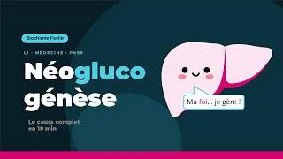 Miniature : Néoglucogénèse : le cours complet en 10 min (L1 · Médecine · Diététique)