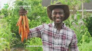 Miniature : Fertilité des sols au Cameroun : vers des solutions durables et locales #biocomplexe #agriculture