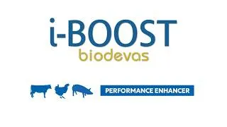 Miniature : i-BOOST® | Supporting animals through stressful situations