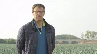 Miniature : How to produce more and better quality leeks in organic farming?
