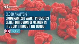 Miniature : Increased oxygen uptake in the body through biodynamized water