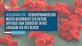 Miniature : Verhoogde zuurstofopname in het lichaam dankzij biodynamisch water