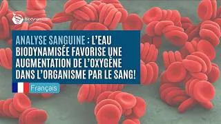 Miniature : Augmentation de l'oxygène dans le sang grâce à l’eau biodynamisée
