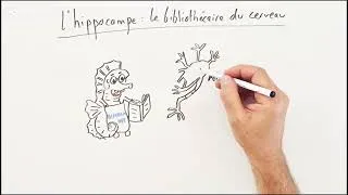 Miniature : Explique moi Pourquoi rêve-t-on ? 