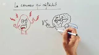 Miniature : Explique-moi pourquoi tes émotions prennent parfois le contrôle ?