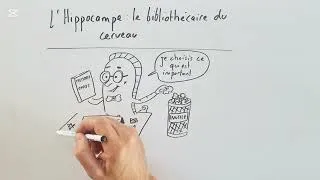 Miniature : Explique moi pourquoi ton cerveau oublie certaines choses ?#tdah #biologie #sommeil 