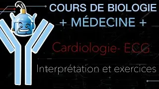 Miniature : ECG- Interprétation + EXERCICES