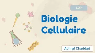 Miniature : Biologie Cellulaire : Plan du Cours