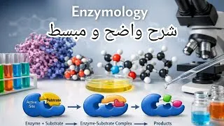 Miniature : Enzymologie :Cinétique enzymatique ( classification des enzymes et Equation de Michaëlis-Menten(