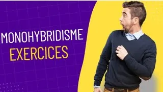 Miniature : Monohybridisme