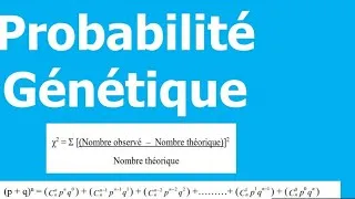 Miniature : Probabilité génétique @SvtAYYOUBLAMSAF @fouad.biologie