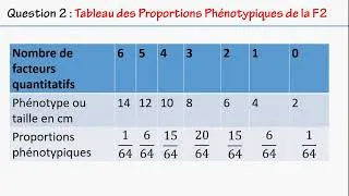 Miniature : génétique : Caractères Quantitatifs