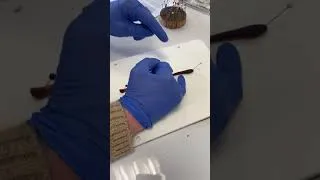 Miniature : Vidéo 1 : Ouverture du Ver