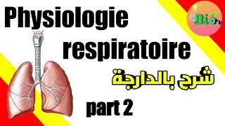 Miniature : Physiologie respiratoire 2
