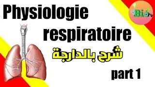 Miniature : physiologie respiratoire