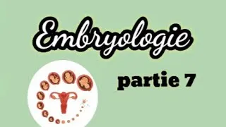 Miniature : Embryologie partie 7 : ovocytes+ fécondation