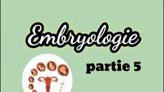 Miniature : Embryologie (partie 5): Ovogenèse et folliculogenèse