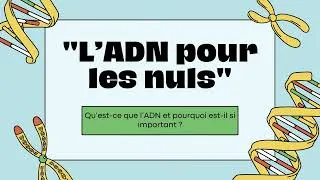 Miniature : L’ADN pour les nuls : comment fonctionne l’ADN ? La biologie expliquée autrement