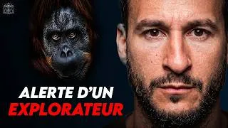 Miniature : Ils vous crèvent les yeux en premier : cet explorateur décrit l'horreur de la jungle