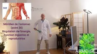 Miniature : Auto-massage avec marteau d'armoise
