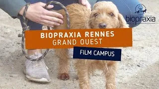Miniature : Biopraxia Rennes - Études, passion et convivialité !
