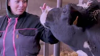 Miniature : 7 bonnes raisons de vous former au métier d'ostéopathe animalier avec Biopraxia