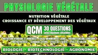 Miniature : QCM Physiologie Végétale 🌱 30 questions sur la Photosynthèse Nutrition Développement des plantes 🌿🔬