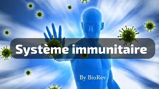 Miniature : Système immunitaire