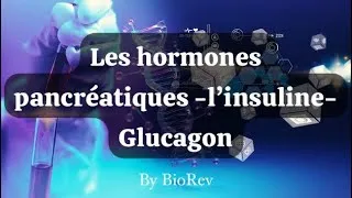 Miniature : Les hormones pancréatiques -Régulation de la glycémie