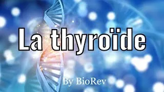 Miniature : Physiologie animale: - Les hormones thyroïdiennes et les parathyroïdes.