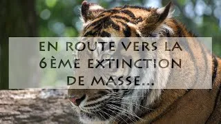 Miniature : En route vers la 6ème extinction de masse ...