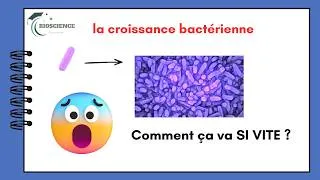 Miniature : Croissance Bactérienne — Courbe, Temps de Génération & Facteurs | Microbiologie